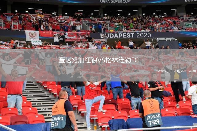 查塔努加红狼VS格林维勒FC