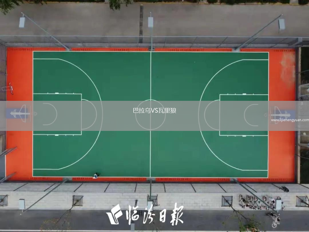 巴拉乌VS瓦里狼