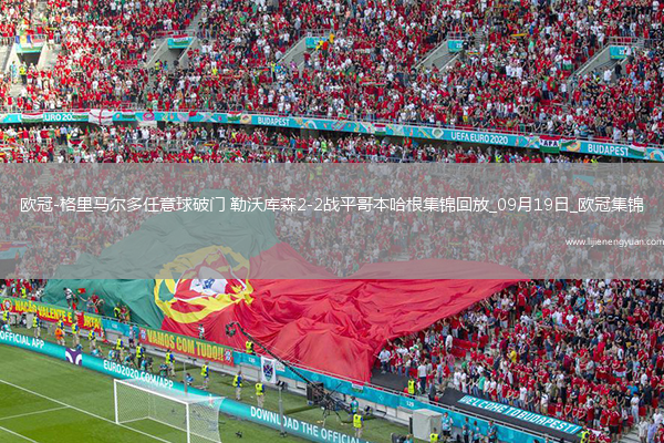 欧冠-格里马尔多任意球破门勒沃库森2-2战平哥本哈根