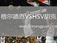 格尔德恩VSHSV胡克