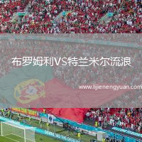 布罗姆利VS特兰米尔流浪