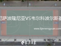 尼萨波隆尼亚VS韦尔科波尔斯基