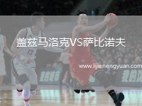 盖兹马洛克VS萨比诺夫