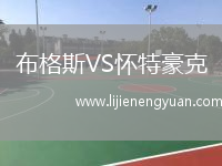 布格斯VS怀特豪克