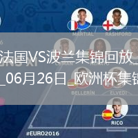 欧洲杯小组赛D组第3轮法国vs波兰片段