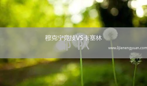 穆克宁竞技VS卡塞林