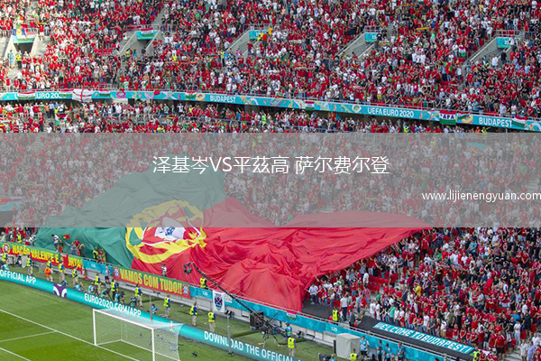 泽基岑VS平茲高 萨尔费尔登